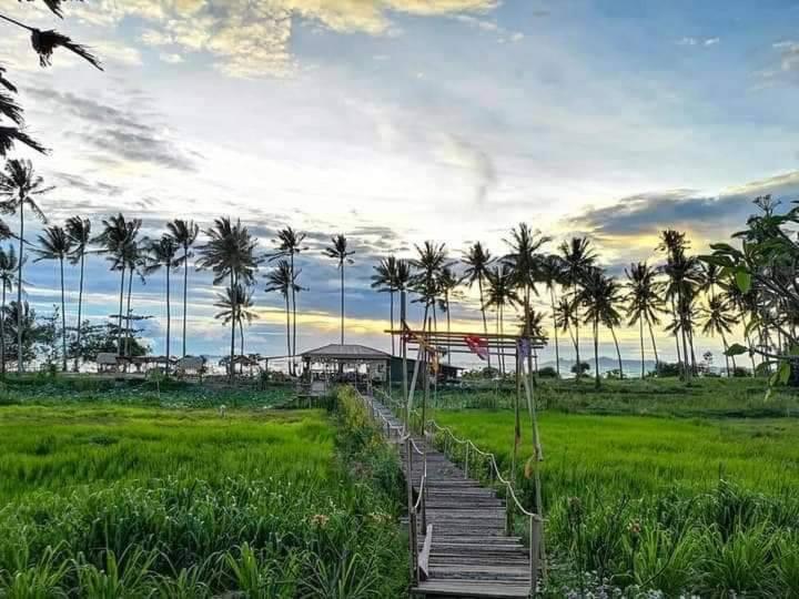 I - Talay Taling Ngam Samui - เขา ป่า นา เล ตลิ่งงาม สมุย Hotel Eksteriør billede
