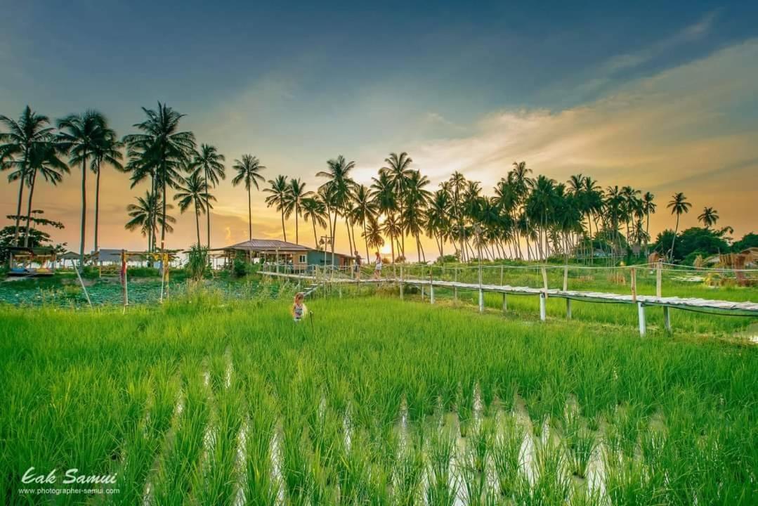I - Talay Taling Ngam Samui - เขา ป่า นา เล ตลิ่งงาม สมุย Hotel Eksteriør billede