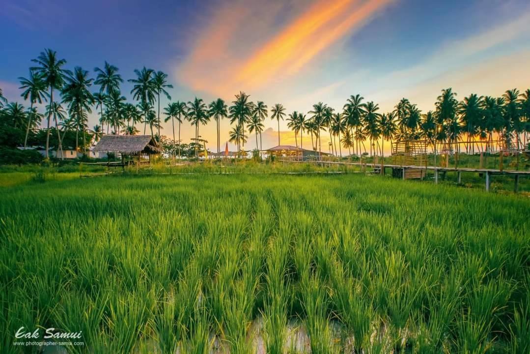 I - Talay Taling Ngam Samui - เขา ป่า นา เล ตลิ่งงาม สมุย Hotel Eksteriør billede